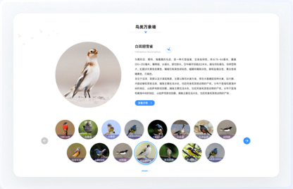 高端網(wǎng)站設計