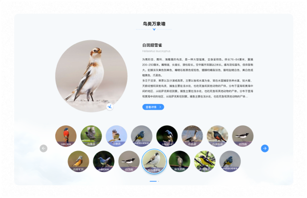 高端網(wǎng)站設計