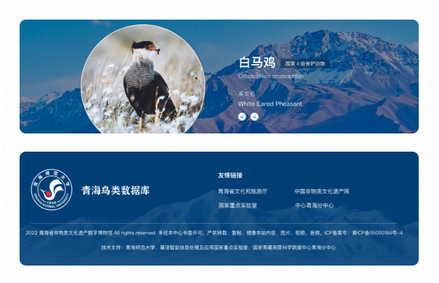 高端網(wǎng)站設計